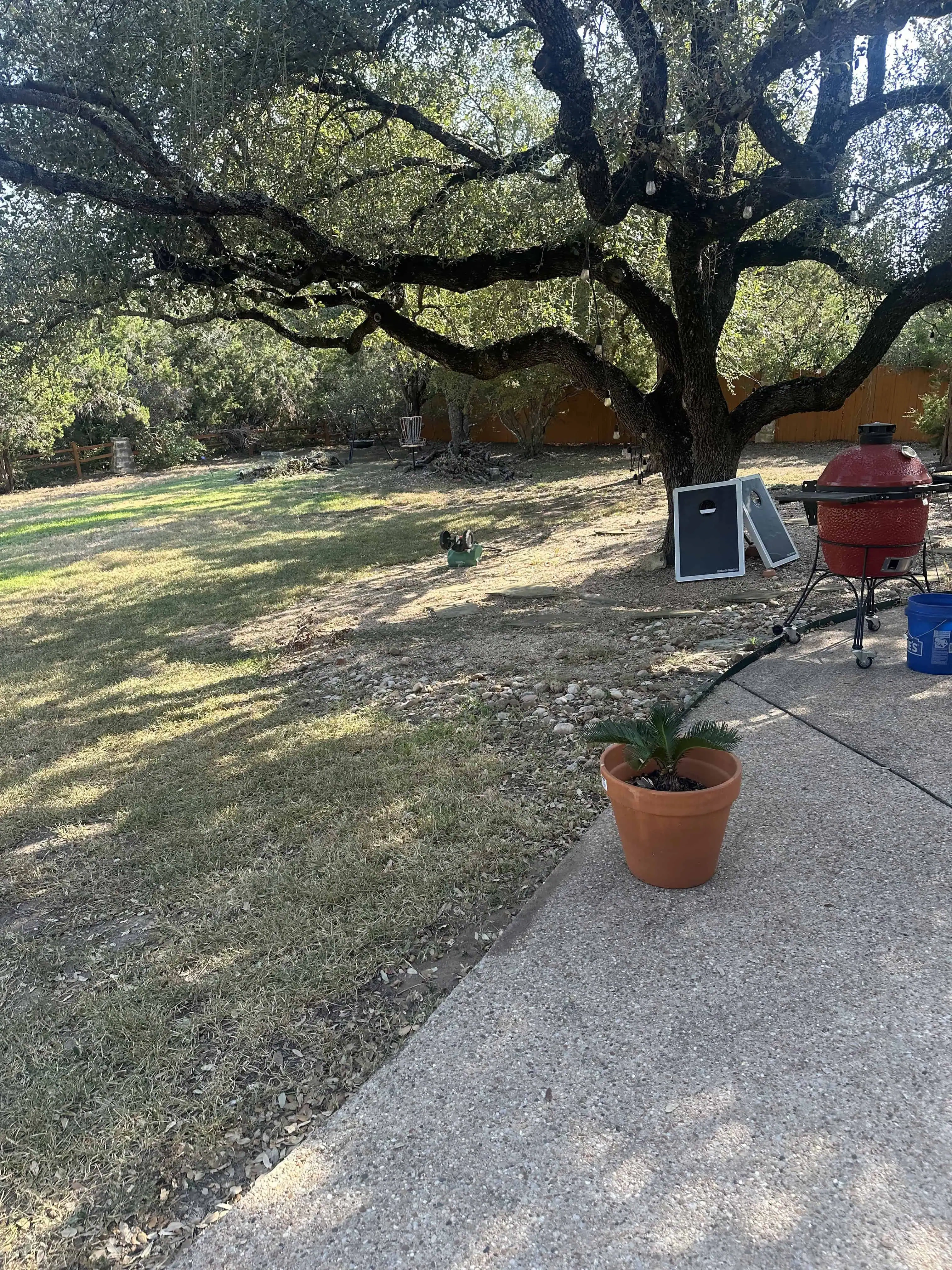 Blazyk project before — flat grass yard