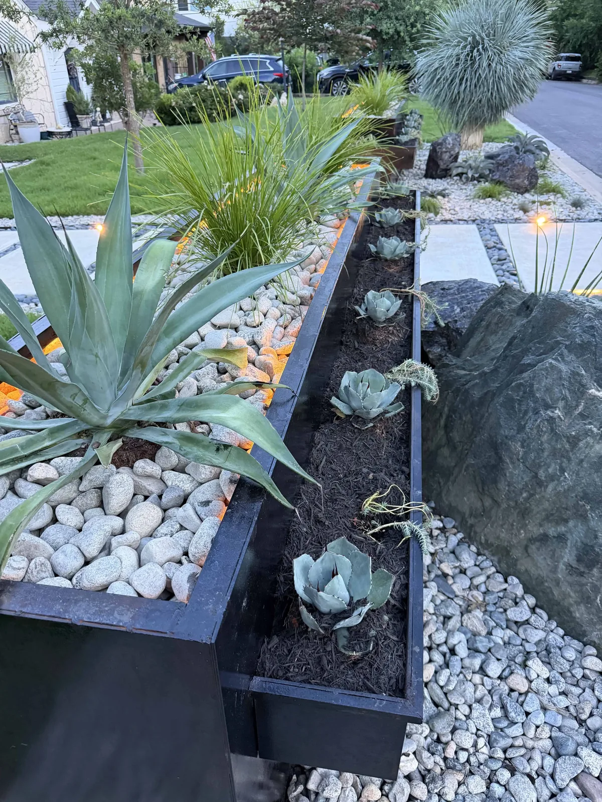 Cantilevered planter from above — Agave weberi, blue spruce sedum, COB lights on angle iron rim — Tarrytown Austin TX