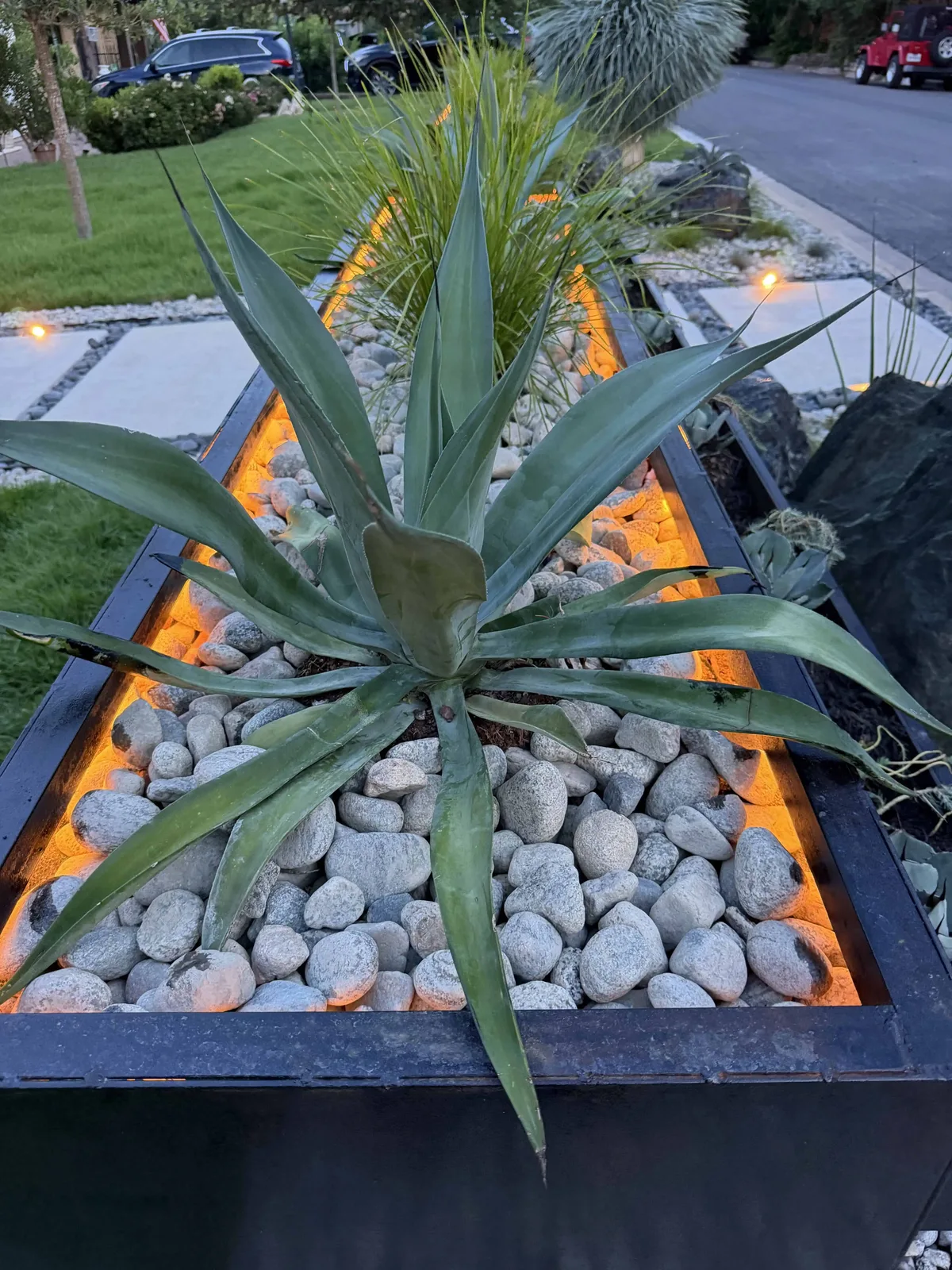 Agave weberi lit by COB lights in steel planter with Mexican beach pebbles at dusk — Tarrytown Austin TX